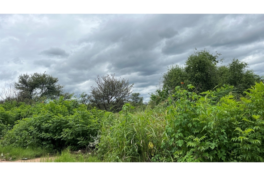 0 Bedroom Property for Sale in Schoemansville North West
